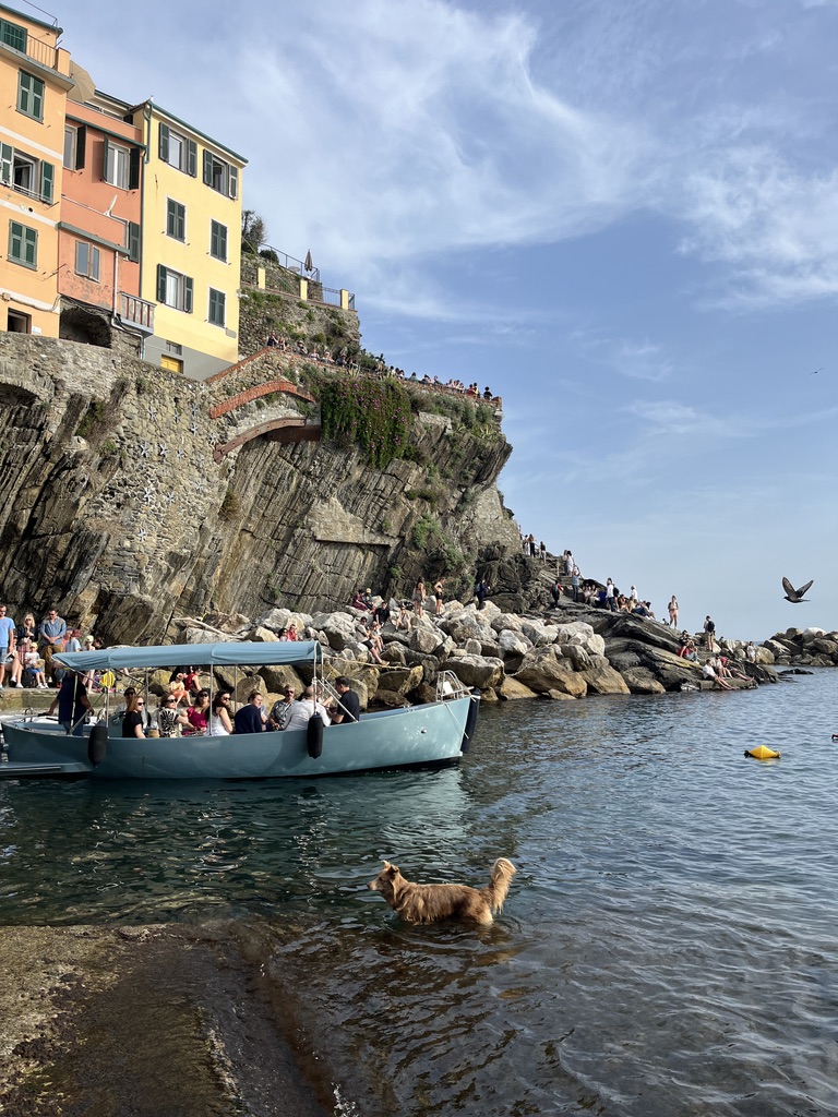 8305BDF3-E41D-461C-8529-D2600077FC5A_1_105_c.jpeg1000